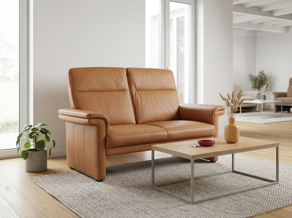 Canapea 2 locuri pentru living modern din piele naturală