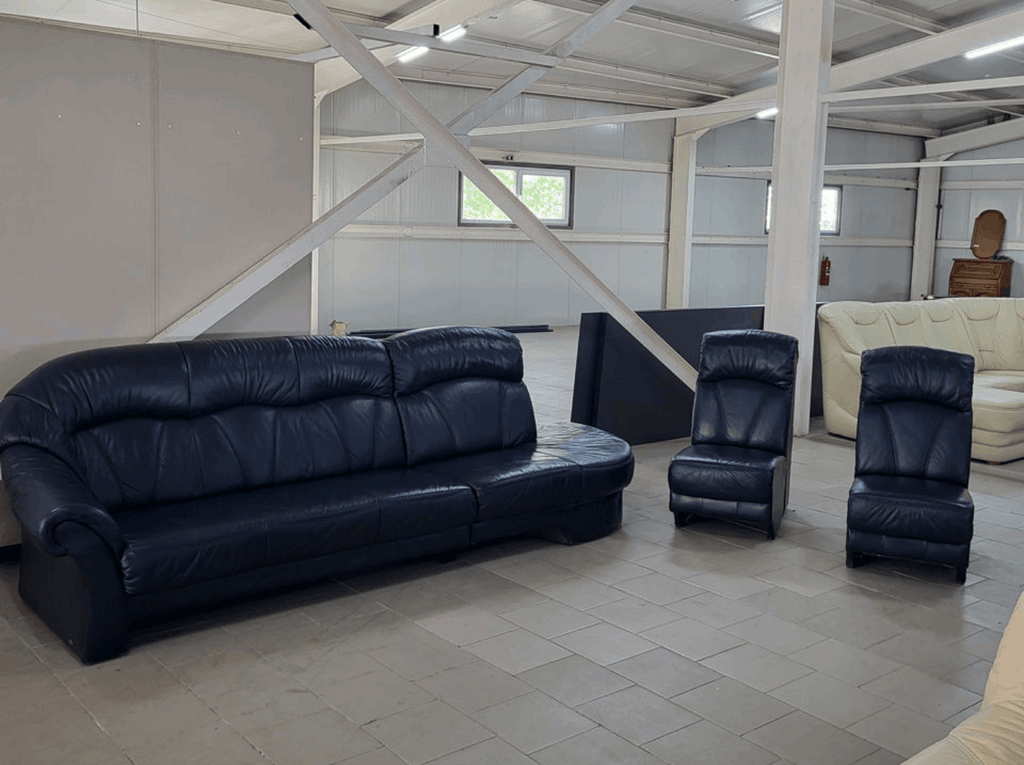Set mobilier piele stare excelentă import Germania